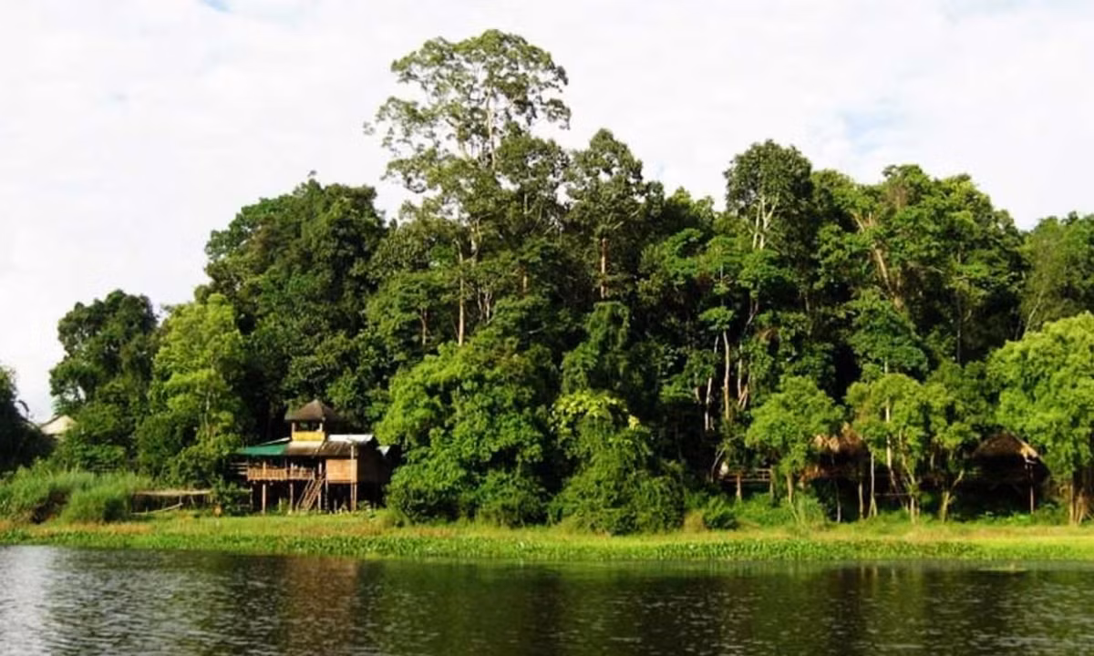 2. Rừng Nam Cát Tiên: thuộc 3 tỉnh Đồng Nai, Bình Phước và Lâm Đồng, nằm trong diện bảo tồn với nhiều thảm thực vật đa dạng, nhiều cây quý và chim muông nằm trong sách Đỏ. (Nguồn: Star Travel International) 