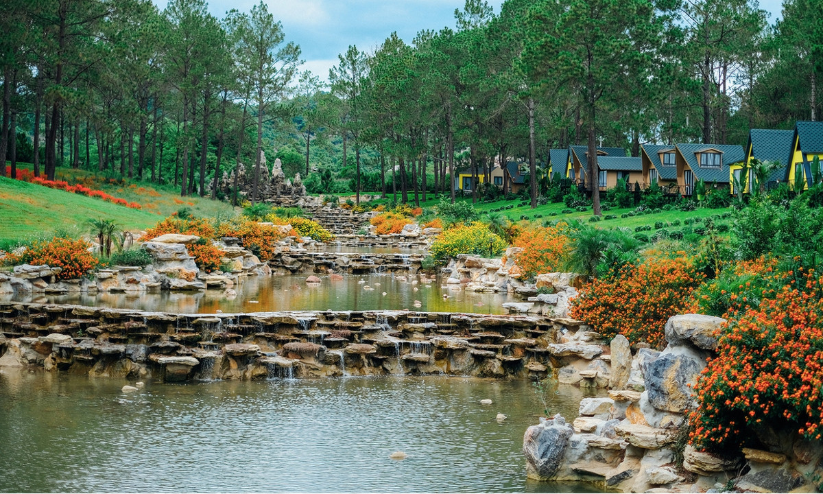 3. Rừng thông Bản Áng: thuộc huyện Mộc Châu, Sơn La. Toàn bộ khu rừng có diện tích rộng khoảng 43ha, nổi lên trên ngọn đồi đất màu nâu.