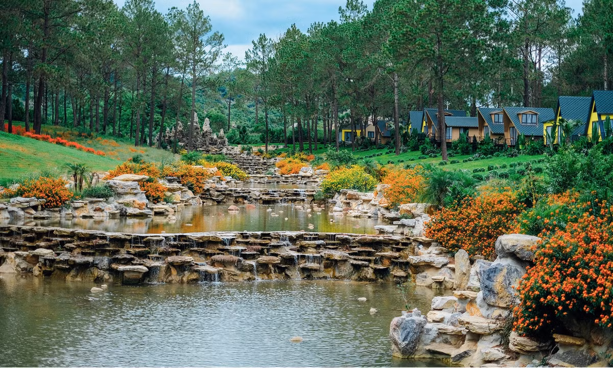 3. Rừng thông Bản Áng: thuộc huyện Mộc Châu, Sơn La. Toàn bộ khu rừng có diện tích rộng khoảng 43ha, nổi lên trên ngọn đồi đất màu nâu.