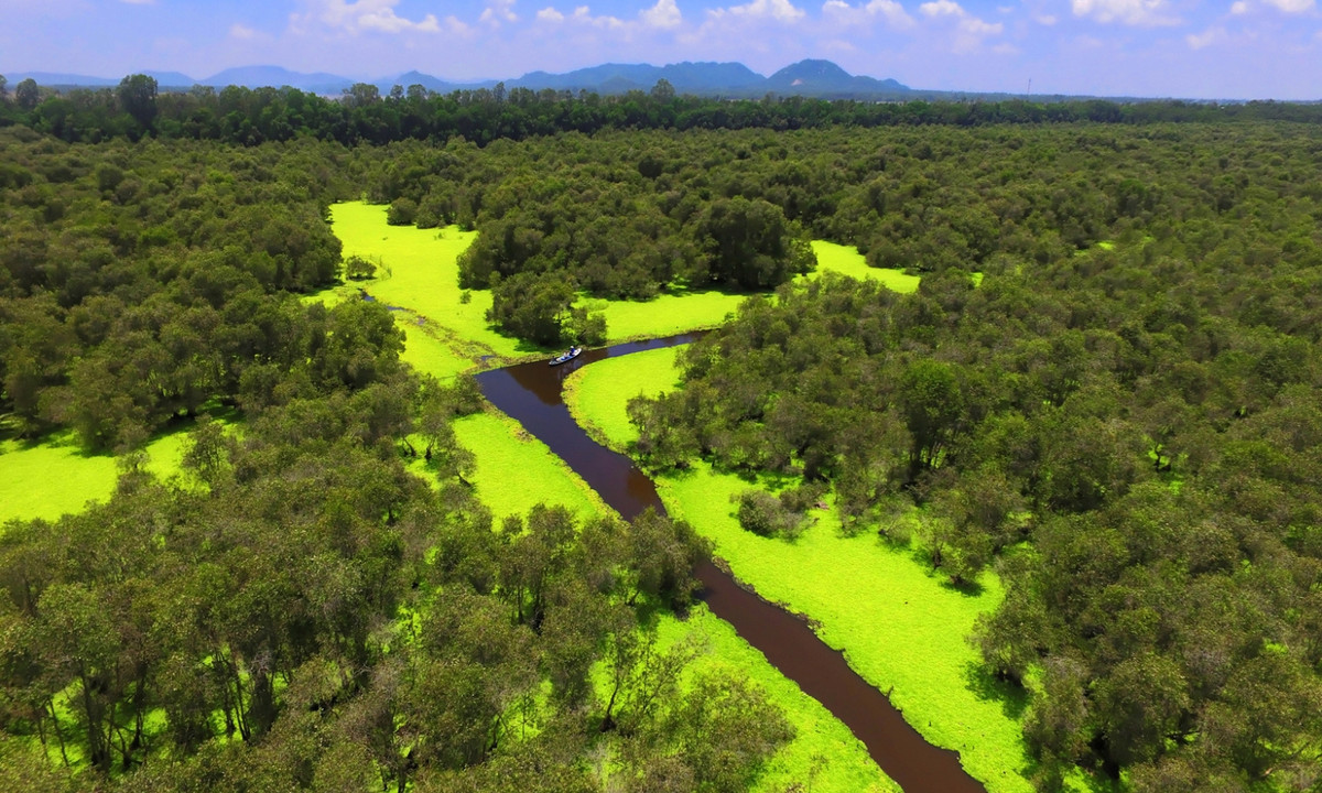 4. Rừng tràm Trà Sư: thuộc địa phận xã Văn Giáo, tỉnh An Giang. Là khu rừng ngập mặn lớn nhất nhì Việt Nam thuộc khu vực Tây sông Hậu. (Nguồn: Du lịch Miền Tây)