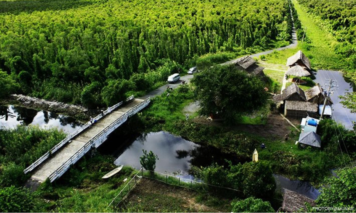 5. Rừng U Minh: gồm có U Minh Thượng và U Minh Hạ, trong đó U Minh Thượng thuộc địa phận tỉnh Kiên Giang còn U Minh Hạ thuộc địa phận tỉnh Cà Mau. Rừng là khu dự trữ sinh quyển lớn nhất khu vực Đồng Bằng sông Cửu Long. (Nguồn: Báo Hòa Bình)