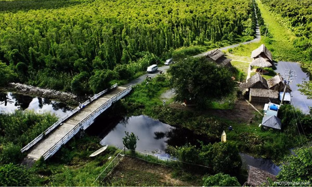 5. Rừng U Minh: gồm có U Minh Thượng và U Minh Hạ, trong đó U Minh Thượng thuộc địa phận tỉnh Kiên Giang còn U Minh Hạ thuộc địa phận tỉnh Cà Mau. Rừng là khu dự trữ sinh quyển lớn nhất khu vực Đồng Bằng sông Cửu Long. (Nguồn: Báo Hòa Bình)