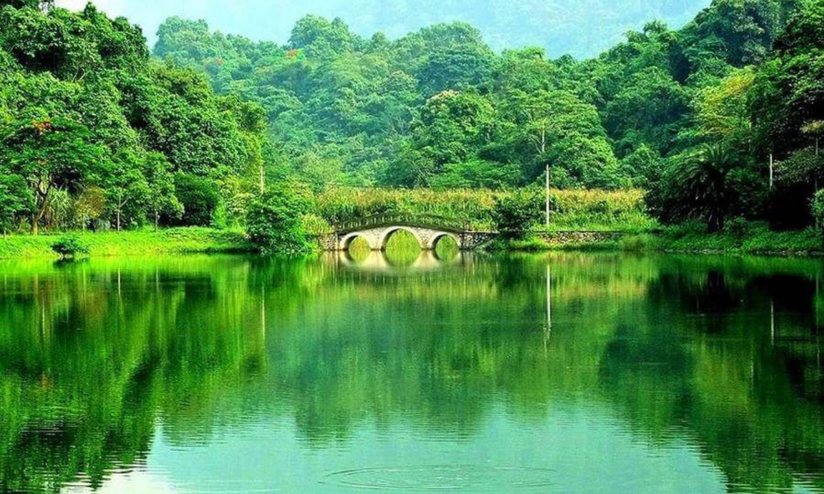 Trong đó, rừng Cúc Phương thuộc địa phận tỉnh Ninh Bình được đánh giá là khu rừng đẹp nhất, nằm cách thủ đô Hà Nội khoảng 120km. Cúc Phương là rừng quốc gia đầu tiên của Việt Nam. (Nguồn: Vntrip) 