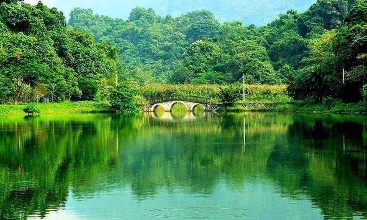 Trong đó, rừng Cúc Phương thuộc địa phận tỉnh Ninh Bình được đánh giá là khu rừng đẹp nhất, nằm cách thủ đô Hà Nội khoảng 120km. Cúc Phương là rừng quốc gia đầu tiên của Việt Nam. (Nguồn: Vntrip) 