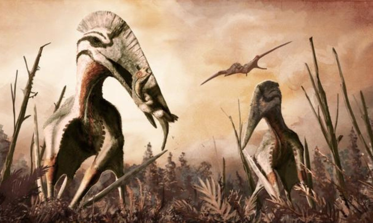 3. Quái vật bay Quetzalcoatlus: quán quân của loài ăn thịt biết bay thuộc về loài Quetzalcoatlus. Loài này có nhiều mô phỏng khác nhau về, dựa trên kích thước của các hóa thạch. (Nguồn: Báo Dân trí)