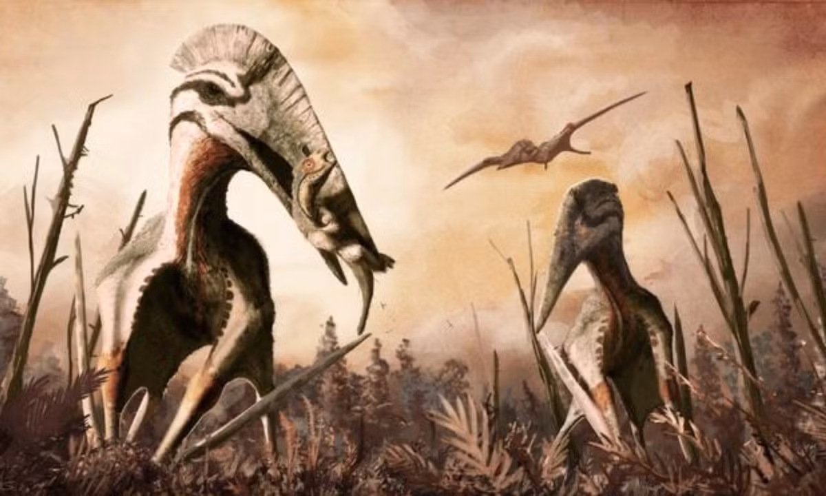 3. Quái vật bay Quetzalcoatlus: quán quân của loài ăn thịt biết bay thuộc về loài Quetzalcoatlus. Loài này có nhiều mô phỏng khác nhau về, dựa trên kích thước của các hóa thạch. (Nguồn: Báo Dân trí)