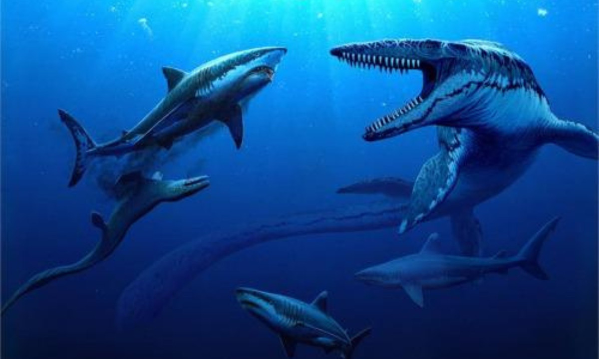 5. Thú săn mồi khổng lồ Mosasaurus: loài Mosasaurus được coi là thú ăn thịt dưới biển to nhất thời kỷ phấn trắng. Đầu của nó khá giống với cá sấu, dài trên 18m và hàm răng có đến cả trăm chiếc sắc nhọn.\
