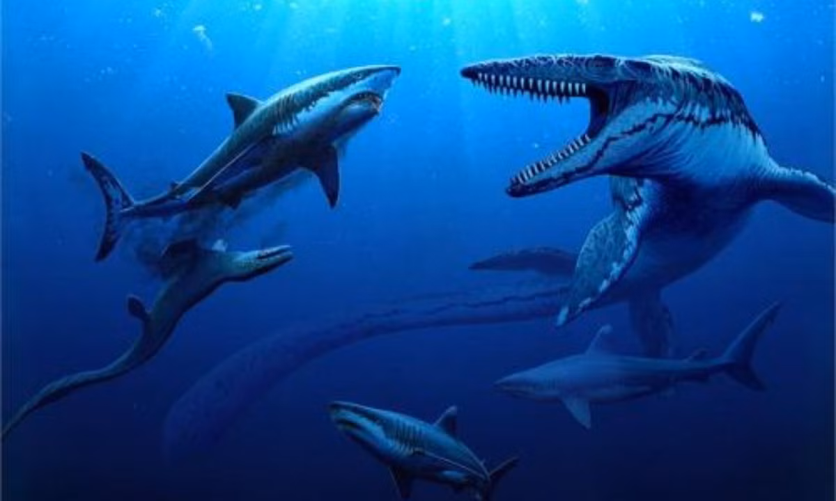 5. Thú săn mồi khổng lồ Mosasaurus: loài Mosasaurus được coi là thú ăn thịt dưới biển to nhất thời kỷ phấn trắng. Đầu của nó khá giống với cá sấu, dài trên 18m và hàm răng có đến cả trăm chiếc sắc nhọn.\