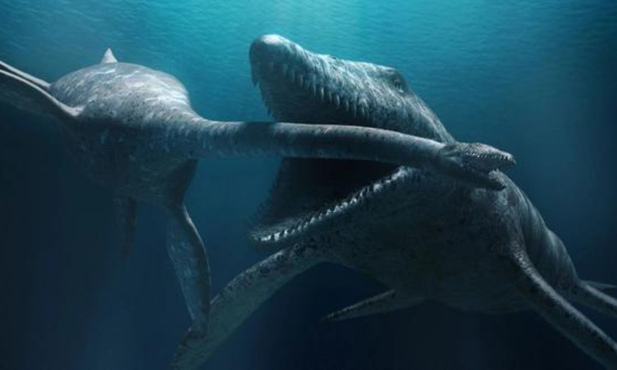 10. "Ông vua biển cả" Liopleurodon: là vua của những sinh vật biển sống ở kỉ Jura muộn. Chúng còn được biết đến với cái tên Predator X, không một sinh vật nào kể cả trên cạn lẫn dưới biển có thể sống sót được với một cú đớp của chúng. (Nguồn: Báo Dân trí)