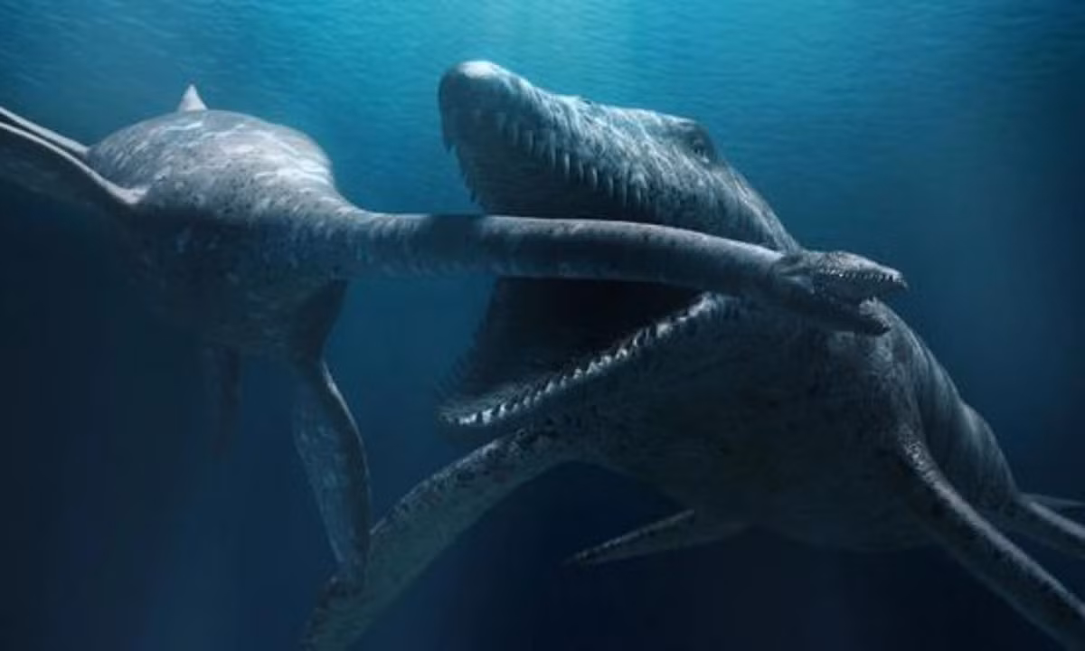 10. "Ông vua biển cả" Liopleurodon: là vua của những sinh vật biển sống ở kỉ Jura muộn. Chúng còn được biết đến với cái tên Predator X, không một sinh vật nào kể cả trên cạn lẫn dưới biển có thể sống sót được với một cú đớp của chúng. (Nguồn: Báo Dân trí)