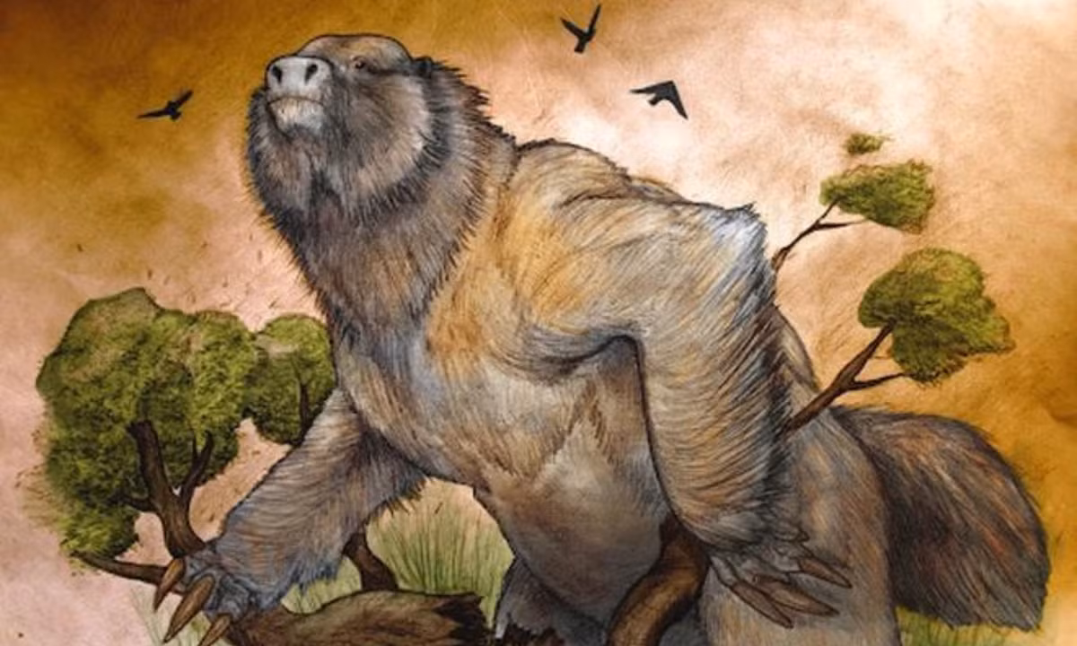 2. "Cỗ máy khát máu" Megatherium: là một chi lười đất, sống trên cạn. Loài này có thể nặng đến 5 tấn, có kích cỡ như một con voi và sống vào khoảng 2 triệu đến 8.000 năm về trước. (Nguồn: Báo Dân trí) 