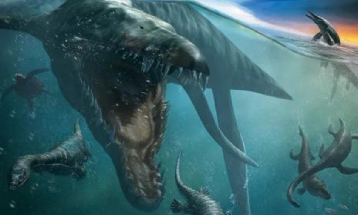 8. Cá heo cổ đại Thalattoarchon: là một quái vật biển có hình dạng giống như một chú cá heo khổng lồ. Loài động vật sở hữu một hộp sọ lớn và hàm răng to, sắc cạnh để bắt và cắt con mồi. Trên thực tế, nó có thể tấn công cả những con mồi lớn bằng hoặc lớn hơn nó.