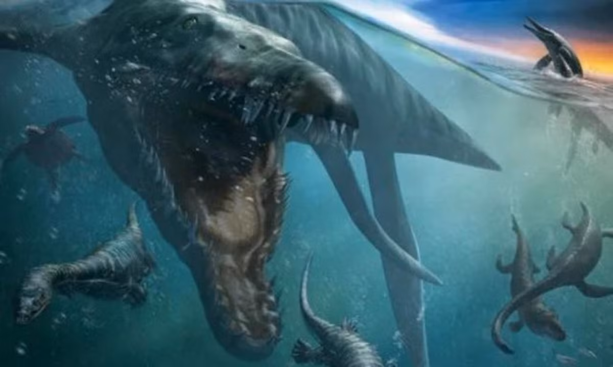 8. Cá heo cổ đại Thalattoarchon: là một quái vật biển có hình dạng giống như một chú cá heo khổng lồ. Loài động vật sở hữu một hộp sọ lớn và hàm răng to, sắc cạnh để bắt và cắt con mồi. Trên thực tế, nó có thể tấn công cả những con mồi lớn bằng hoặc lớn hơn nó.