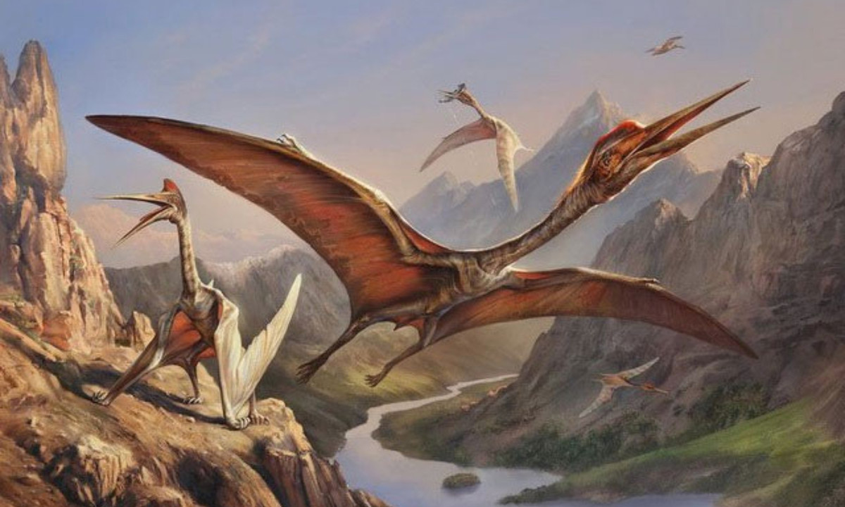 Nếu như Megalodon thống trị dưới nước, thì Quetzalcoatlus được xem là ông vua bầu trời, và ít khi có kẻ địch nào có thể chống lại được. (Nguồn: KhoaHoc.tv)