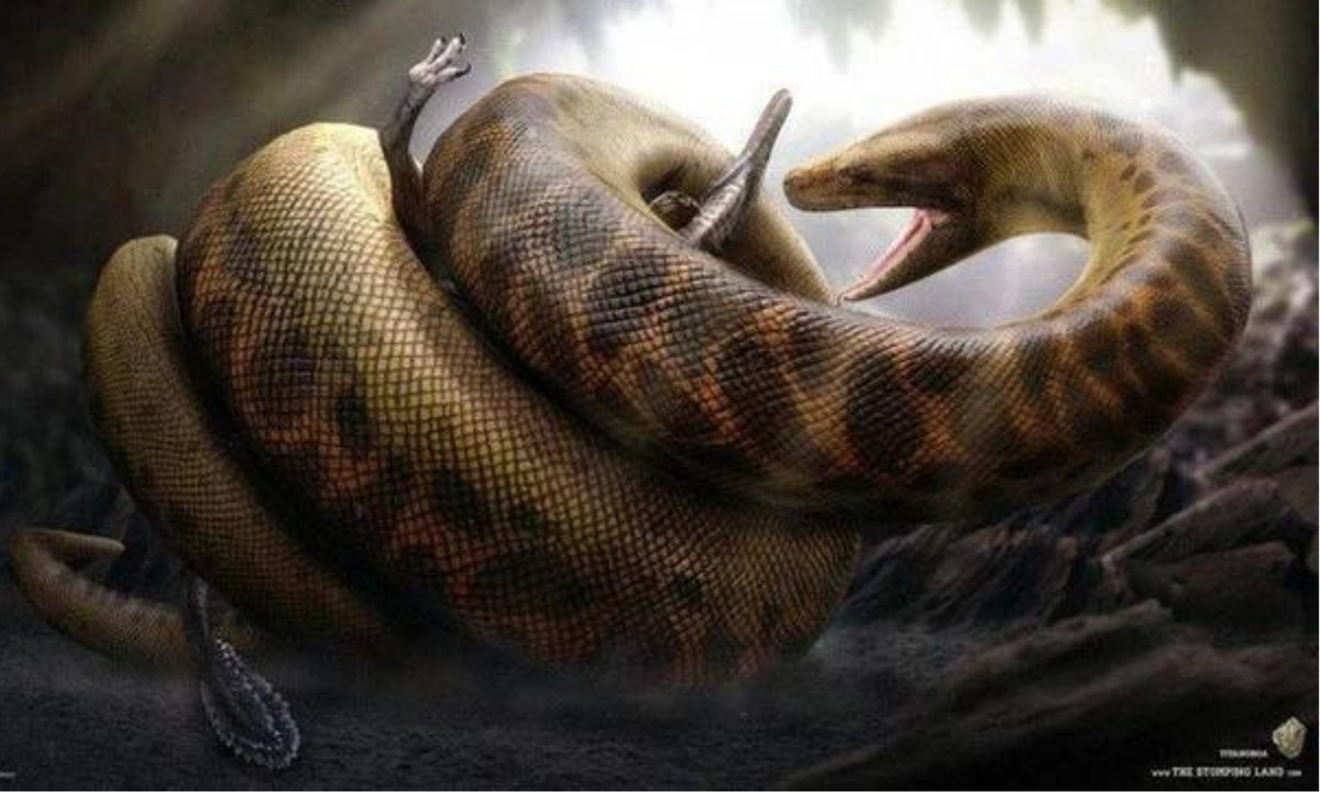 4. Rắn khổng lồ Titanoboa: loài rắn cổ đại kinh dị nhất trong lịch sử từng được ghi nhận là Titanoboa. Loài này từng sinh sống khoảng từ 60 tới 58 triệu năm trước, trong thế Paleocen (hay thế Cổ Tân).