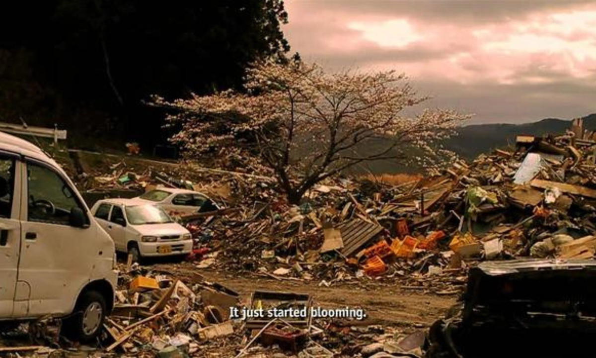 Năm 2011 : hoa anh đào tượng trưng cho niềm hy vọng. Ngày 11 tháng 3 năm 2011, một cơn sóng thần đã tấn công vào Nhật Bản. Mọi thứ chỉ còn lại đổ nát, hoang tàn. (Nguồn: Kenh14) 