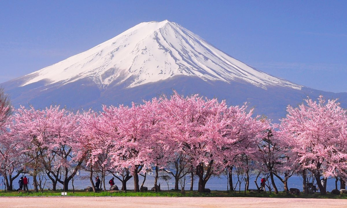 Câu chuyện trên cũng đã được đưa lên màn ảnh rộng qua bộ phim ngắn mang tên "The Tsunami and the Cherry Blossom" (Sóng thần và hoa anh đào), khiến cho cả thế giới phải trầm trồ và cảm động vì tinh thần quật cường của người Nhật. Không khó hiểu khi bộ phim này đã được đề cử giải Oscar vào năm 2012. (Nguồn: Good Housekeeping)