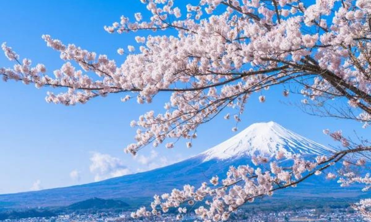 Năm 1868 - 1912: biểu tượng cho sự hy sinh. Nhật Bản từ năm 1868 đến năm 1912 bước vào thời Minh Trị. Trong thời kì này, đất nước bắt đầu vào công cuộc hiện đại hóa và dần vươn lên thành một cường quốc.