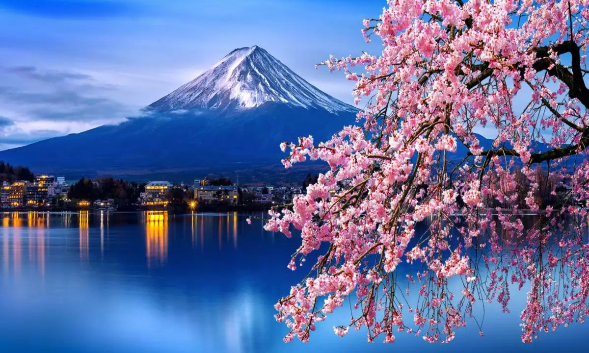 Nhưng với người dân Nhật Bản, bên cạnh việc chiêm ngưỡng vẻ đẹp thanh khiết của loài hoa này, đây cũng là lúc mà họ được ôn lại những giá trị tinh thần cao đẹp của dân tộc - một dân tộc luôn kiên cường, bất khuất, một dân tộc luôn đầy ắp niềm hy vọng và khát khao. (Nguồn: Time of India)