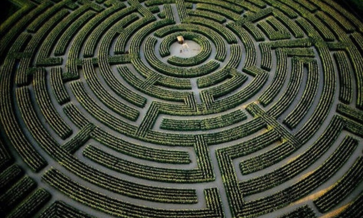 4. Mê cung hoa hướng dương - Vườn động vật hoang dã Longleat (Wiltshire, Anh): cứ mùa đông đến, nơi đây lại cắt bỏ cây cũ, thiết kế dàn cây mới, tới mùa xuân, một mê cung mới tinh lại xuất hiện. Mở cửa từ năm 1996, đã có tới hơn 85.000 du khách tới thử sức ở nơi đây. (Nguồn:Zing News)