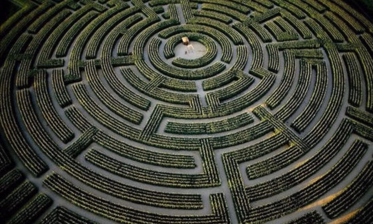 4. Mê cung hoa hướng dương - Vườn động vật hoang dã Longleat (Wiltshire, Anh): cứ mùa đông đến, nơi đây lại cắt bỏ cây cũ, thiết kế dàn cây mới, tới mùa xuân, một mê cung mới tinh lại xuất hiện. Mở cửa từ năm 1996, đã có tới hơn 85.000 du khách tới thử sức ở nơi đây. (Nguồn:Zing News)