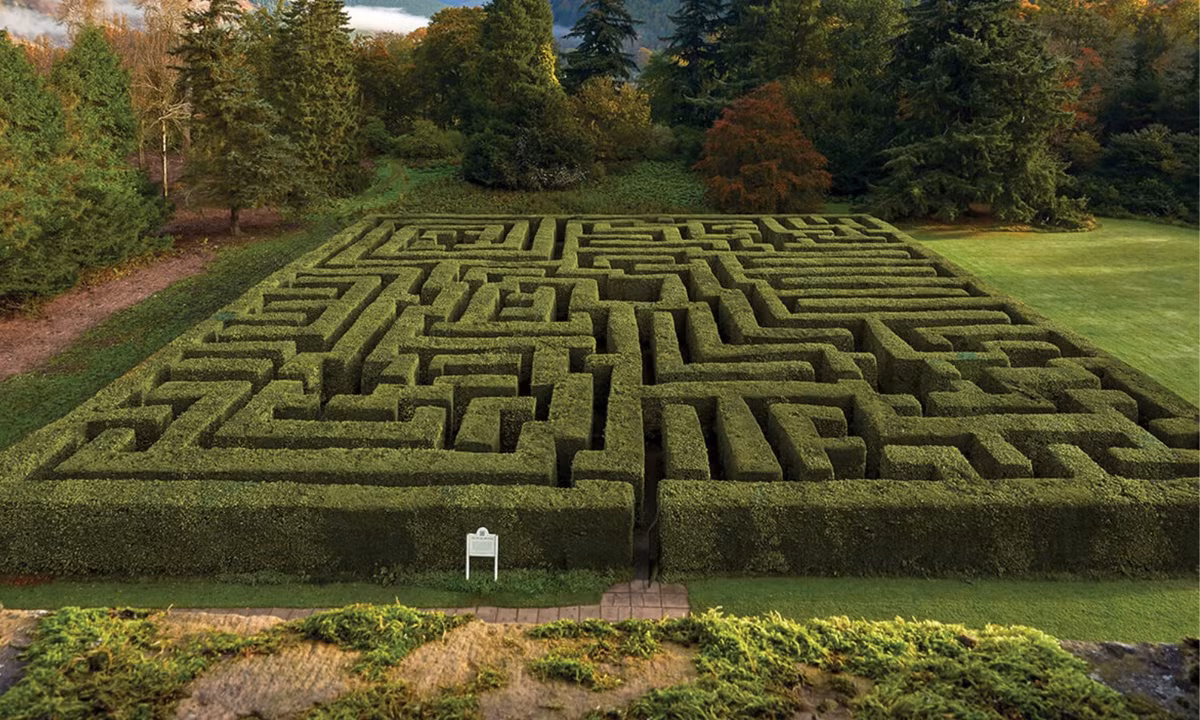 2. Mê cung phía sau tòa nhà hoang - Mê cung Traquair (Scotland): được xây dựng từ năm 1981, mê cung nằm ở thành phố Innerleithen, sau tòa nhà cổ hoang Traquair. Hằng năm, khi lễ Phục Sinh được tổ chức ở đây, có tới 6000 quả trứng giấu kín chờ du khách khám phá. (Nguồn: Traquair House) 