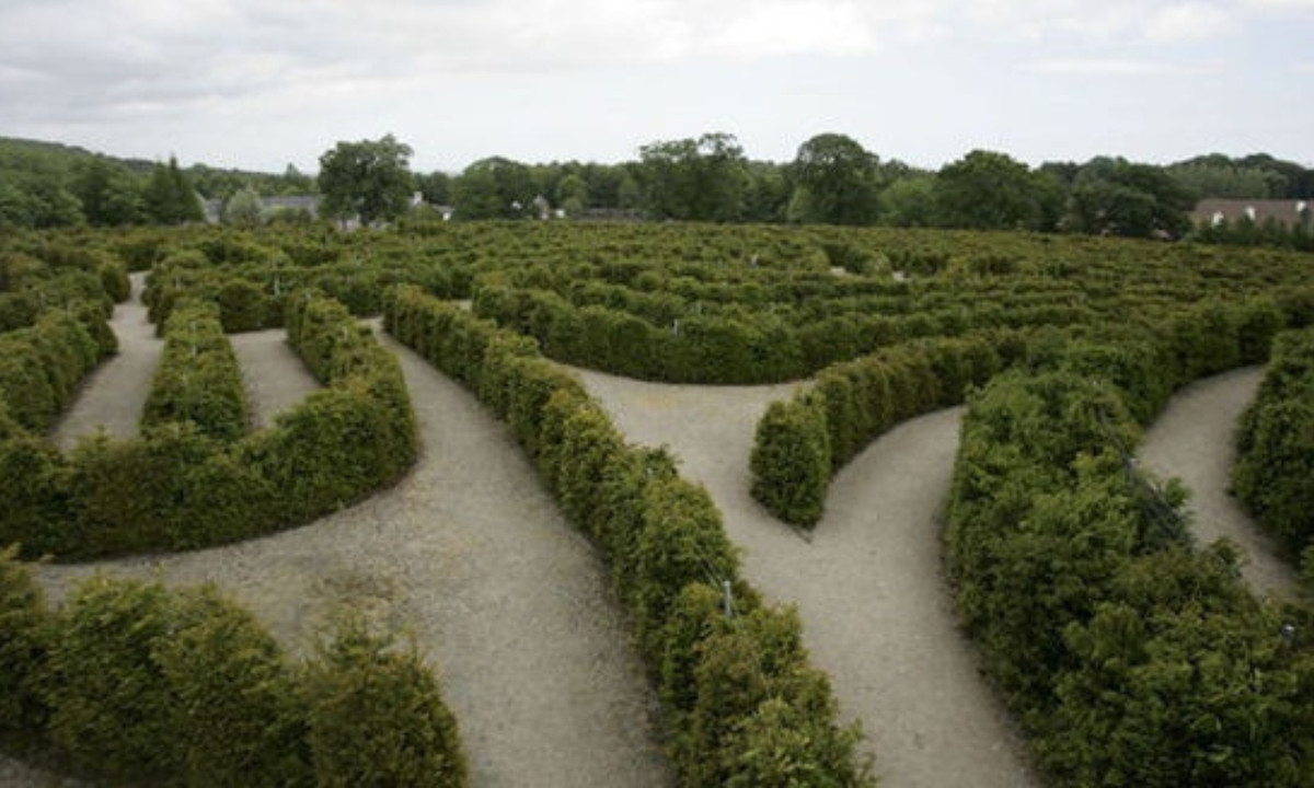 5. Mê cung 3D - Mê cung Hòa Bình (Công viên Castewallan, Bắc Ireland): mê cung được thiết kế theo tu duy 3D, được xây dựng năm 1998, tới năm 2007 mới hoàn thiện. 4000 học sinh tiểu học đã trồng 6000 cây thủy tùng ở mê cung này. (Nguồn: Zing News) 