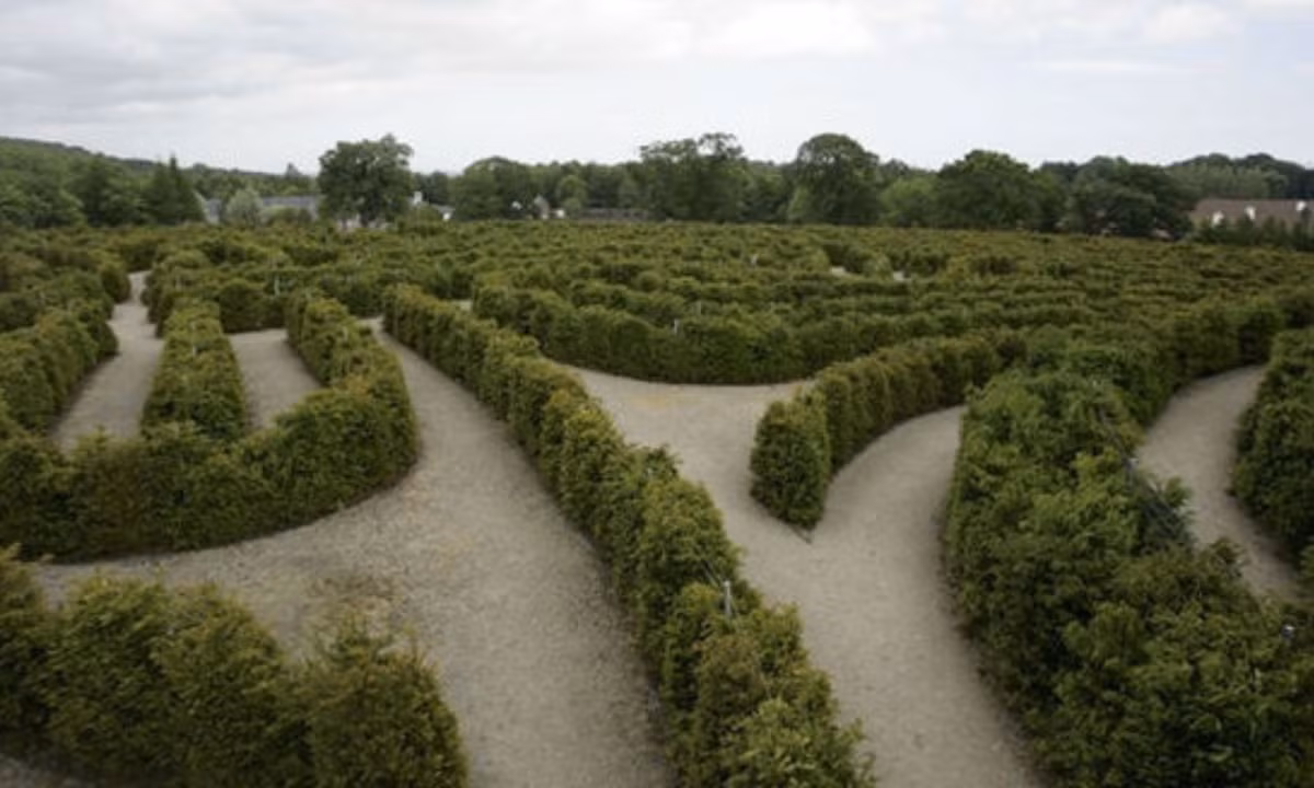 5. Mê cung 3D - Mê cung Hòa Bình (Công viên Castewallan, Bắc Ireland): mê cung được thiết kế theo tu duy 3D, được xây dựng năm 1998, tới năm 2007 mới hoàn thiện. 4000 học sinh tiểu học đã trồng 6000 cây thủy tùng ở mê cung này. (Nguồn: Zing News) 