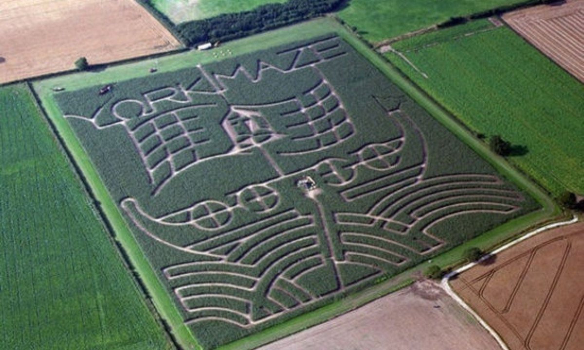 3. Mê cung luôn thay đổi như đánh đố - Mê cung Yorkshire York (Anh): đây là mê cung lớn nhất ở Anh, đồng thời là một mê cung rất độc đáo, năm nào cũng được bài trí lại một lần, lúc thì là kiểu quốc vương, lúc thì khủng long, khi lại là đường phố Luân Đôn. (Nguồn: Zing News) 