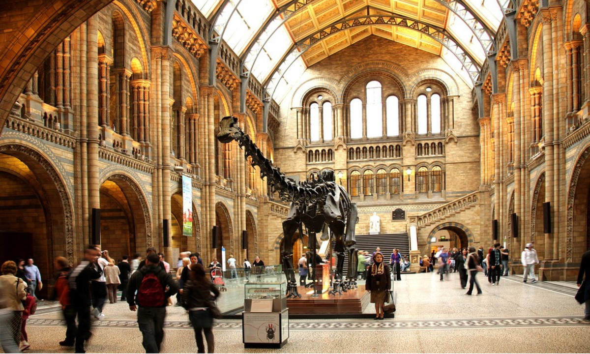 Đây là tất cả những thông tin còn sót lại trong lá thư của Pike mà người ta còn lưu giữ được cho tới thời điểm hiện tại, bởi các tài liệu liên quan đến bức thư này đã “biến mất” một cách bí ẩn vào năm 1970 dù đã từng được trưng bày tại Thư viện các bảo tàng của Anh trước đó. (Nguồn: Vương quốc Anh) 