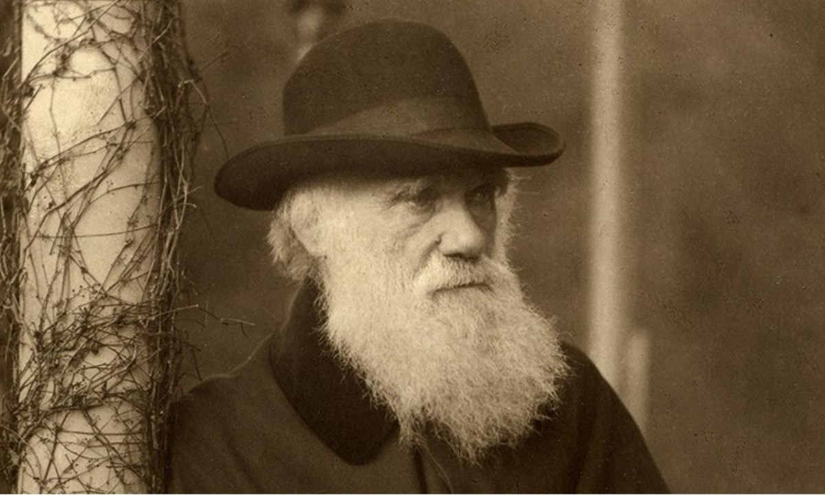 4. Charles Robert Darwin: là một nhà nghiên cứu người Anh nổi tiếng trong lĩnh vực tự nhiên học. Chúng ta thường biết tới ông qua lý thuyết sàng lọc tự nhiên - lý thuyết thống nhất cho khoa học sinh học, vì có thể đưa ra lời biện bạch duy lý cho sự sung túc loài. (Nguồn: Natural History Museum)