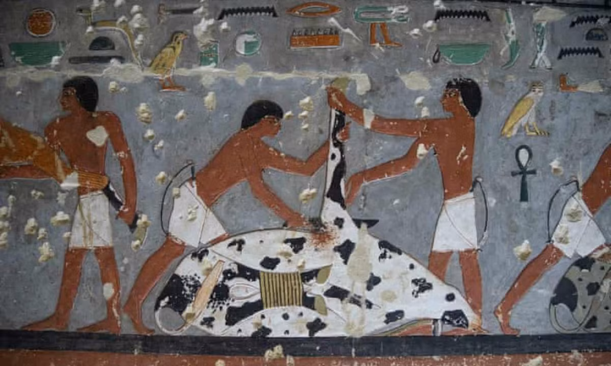 4. Quấn xác và cho vào quan tài: trong giai đoạn tiếp theo, người Ai Cập cổ đại sẽ bọc xác ướp bằng vải lanh và đặt trong quan tài. Ngoài ra, người ta còn đặt các loại bùa khác nhau giữa các lớp bọc của xác ướp với niềm tin rằng chúng sẽ bảo vệ người đã mất.