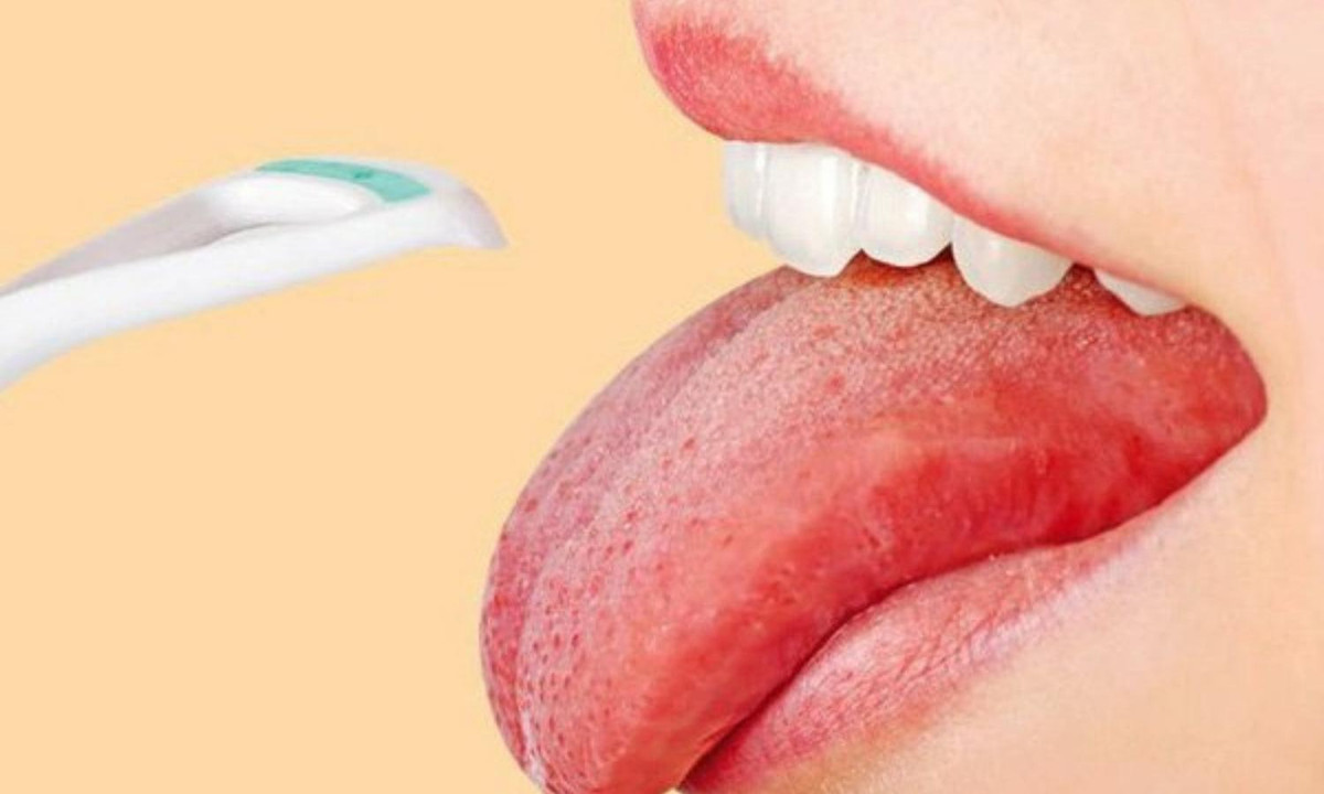 5. Lưỡi không xương: lưỡi giống như xúc tu bạch tuộc. Lưỡi tạo thành từ 8 cơ riêng biệt. Không giống như các cơ bắp khác, lưỡi không được hỗ trợ bởi một khung xương, chúng đan xen vào nhau và tạo ra chiếc lưỡi có thể uốn dẻo được. (Nguồn: Vinmec)