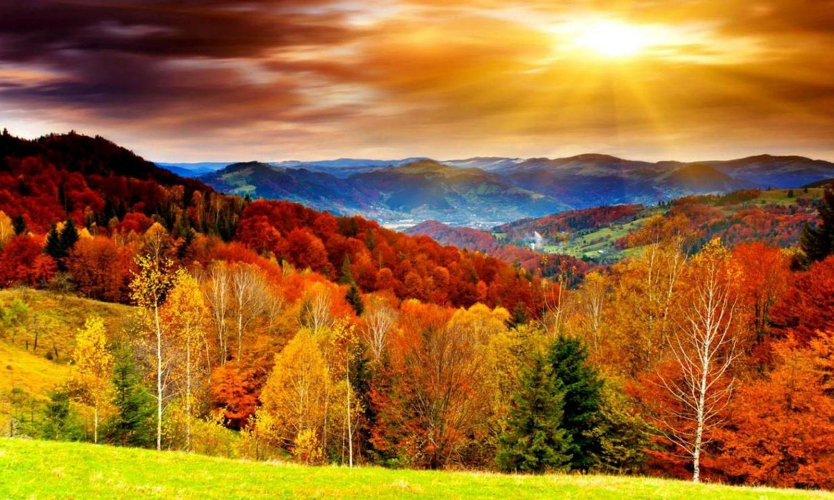 Mùa thu là mùa phổ biến nhất ở Canada. Với những tán lá phong rải rác khắp nơi; đất nước nổi bật và xinh đẹp trong màu sắc mùa thu. (Nguồn: dantri.com)