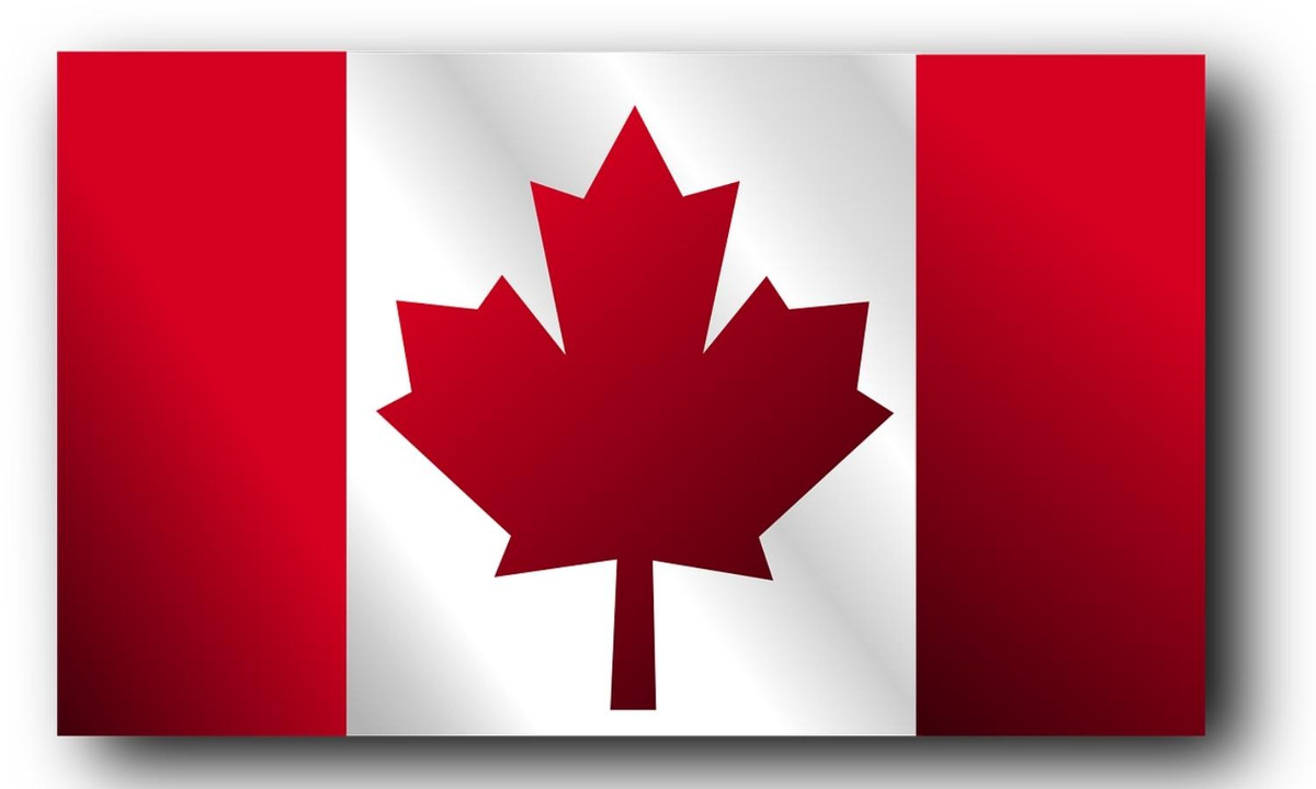 Không chỉ mang nét đẹp về tính thẩm mỹ, lá phong còn mang ý nghĩa tượng trưng rất lớn “vị vua của rừng rậm Canada… là biểu tượng của Canada”.