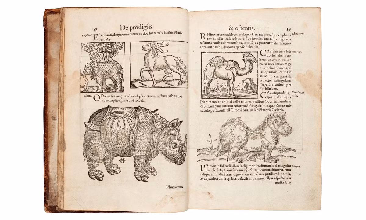 Nhưng trong khi cuốn bách khoa toàn thư Seraphinianus là một cuốn sách giả tưởng, biên niên sử của Lycosthenes lại tương đối thực tế. Biên niên sử của Lycosthenes cực kỳ chi tiết và có hơn 1.000 hình ảnh minh họa về các hiện tượng được mô tả. (Nguồn: Sotheby’s)