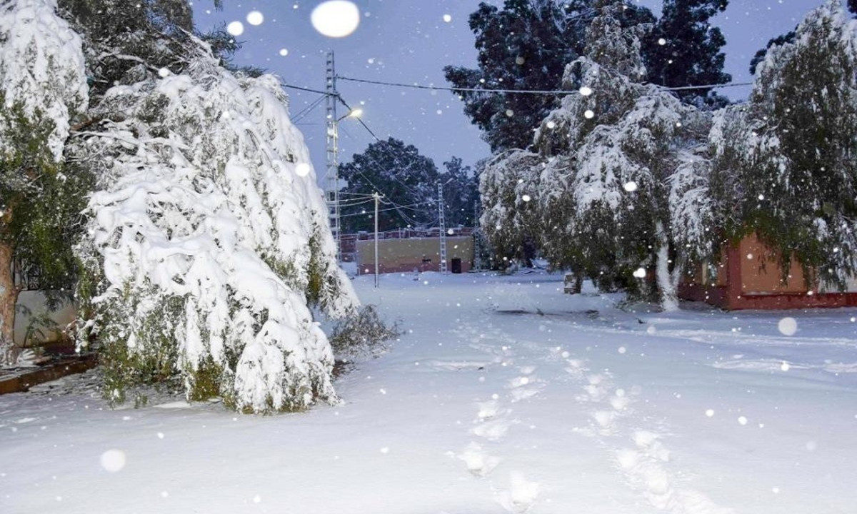 Thời tiết gây ra sự hỗn loạn trong thị trấn khi những hành khách đi xe buýt bị mắc kẹt vì đường đóng băng trơn trượt. (Nguồn: Geoff Robinson Photography)