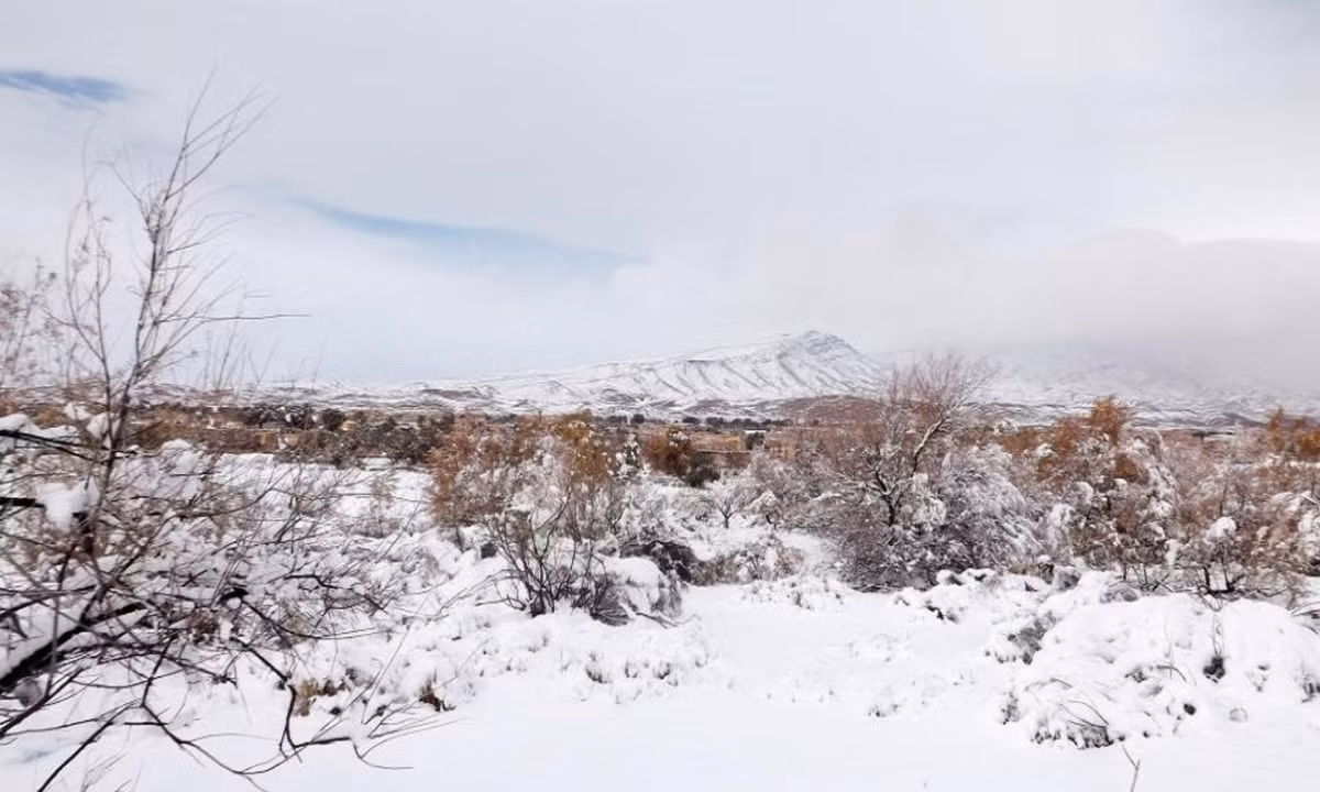 Trước đó, nhiệt độ ở các nơi khác trên đại sa mạc, bao gồm Algeria, Chad, Libya, Mali và Morocco vượt trên 47 độ C. (Nguồn: Geoff Robinson Photography)