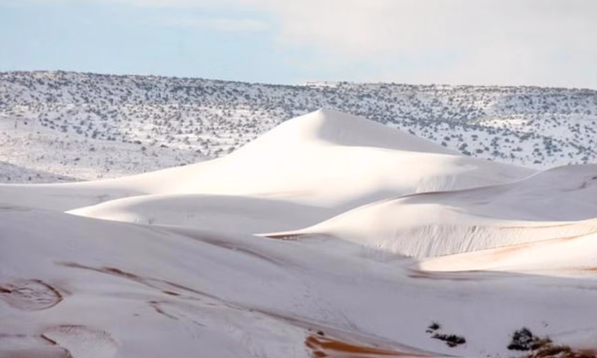  Sa mạc nóng nhất thế giới trải qua trận tuyết rơi lớn nhất từ trước tới nay khi lớp tuyết trắng xóa dày một mét bao phủ khắp cồn cát đỏ. (Nguồn: Dân trí).