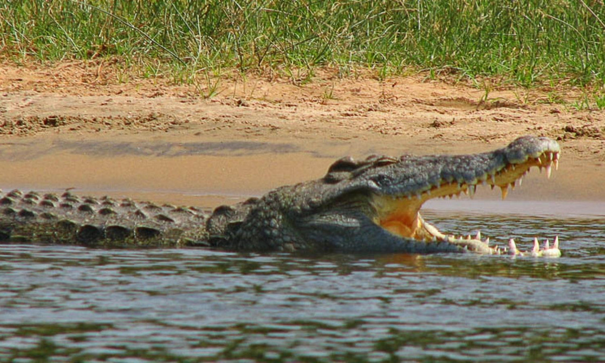 Ngày nay, sau mỗi mùa nước lên, sông Nile để lại trên những cánh ruộng đồng bạt ngàn lớp phù sa vô cùng màu mỡ. (Nguồn: vov.vn)