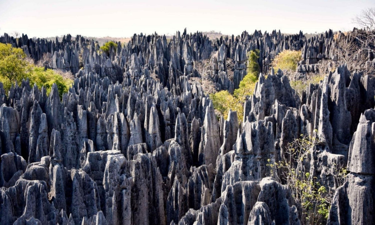 Rừng đá Tsingy: Nằm trong công viên quốc gia Tsingy de Bemaraha ở Madagascar, rừng đá Tsingy là nơi nổi tiếng với những tảng đá vôi sắc nhọn và lởm chởm vươn tới độ cao 70 mét. Khu rừng này còn rất nguyên sơ và nhiều điều bí ẩn chờ được khám phá. (Nguồn: Zing News) 