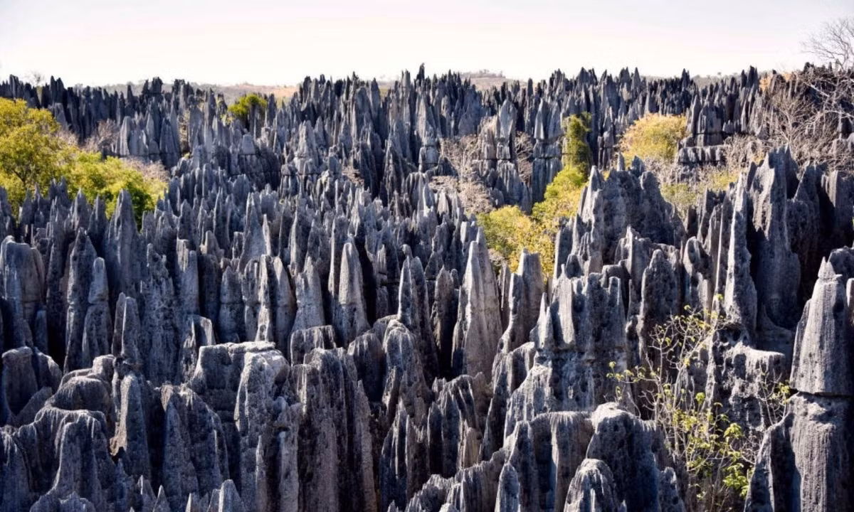 Rừng đá Tsingy: Nằm trong công viên quốc gia Tsingy de Bemaraha ở Madagascar, rừng đá Tsingy là nơi nổi tiếng với những tảng đá vôi sắc nhọn và lởm chởm vươn tới độ cao 70 mét. Khu rừng này còn rất nguyên sơ và nhiều điều bí ẩn chờ được khám phá. (Nguồn: Zing News) 