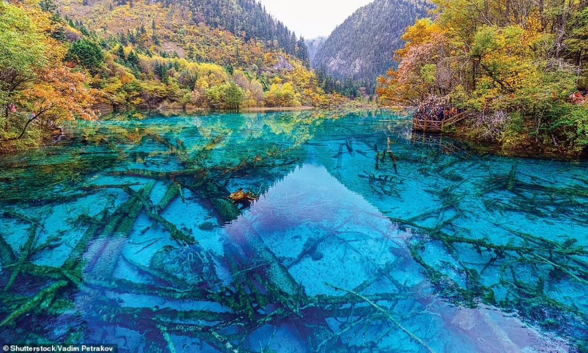 Nằm trên dãy núi Min ở Tây Nam Trung Quốc, khu bảo tồn thiên nhiên Cửu Trại Câu nổi tiếng với 100 hồ nước trong vắt. Các mỏ khoáng bên dưới tạo ra màu nước xanh lam, xanh lục hoặc xanh ngọc bắt mắt. (Nguồn: Shutterstock/Vadim Petrakov) 