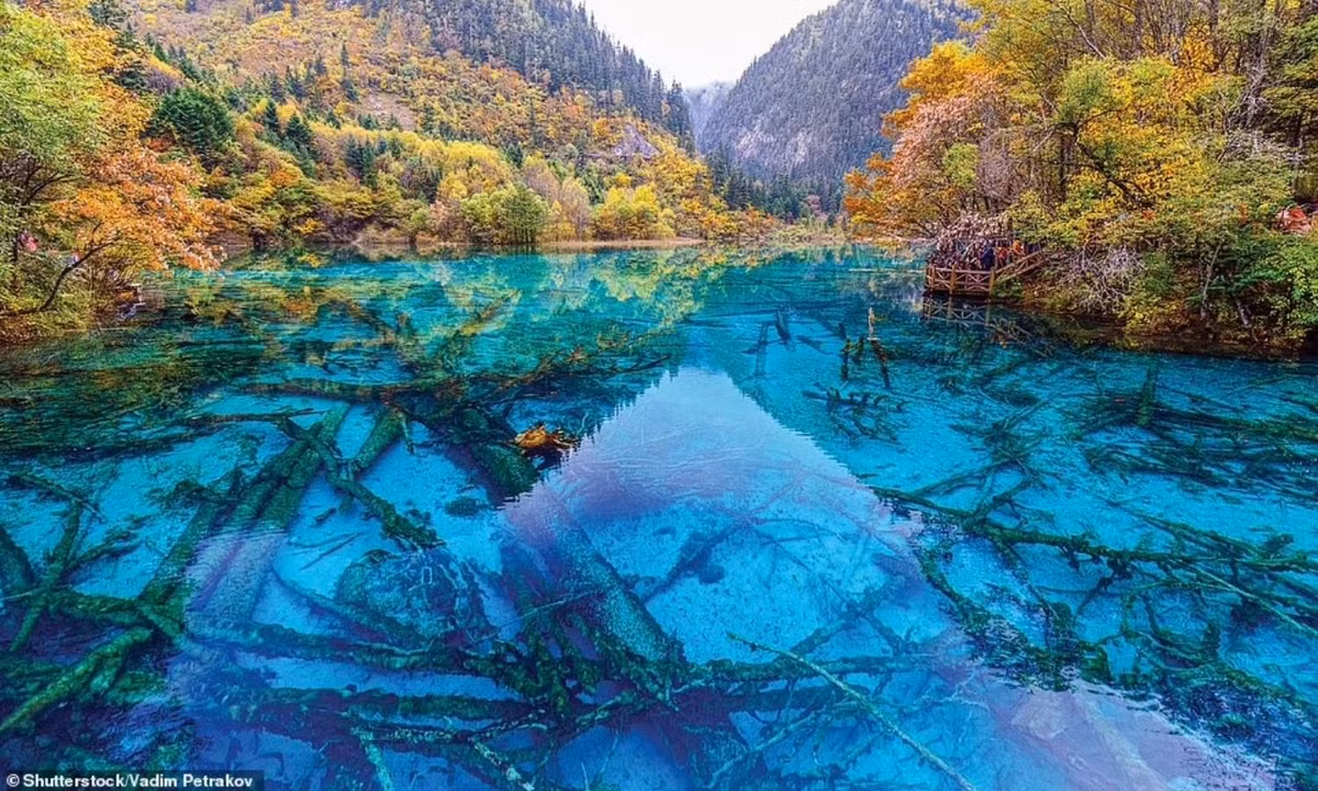 Nằm trên dãy núi Min ở Tây Nam Trung Quốc, khu bảo tồn thiên nhiên Cửu Trại Câu nổi tiếng với 100 hồ nước trong vắt. Các mỏ khoáng bên dưới tạo ra màu nước xanh lam, xanh lục hoặc xanh ngọc bắt mắt. (Nguồn: Shutterstock/Vadim Petrakov) 