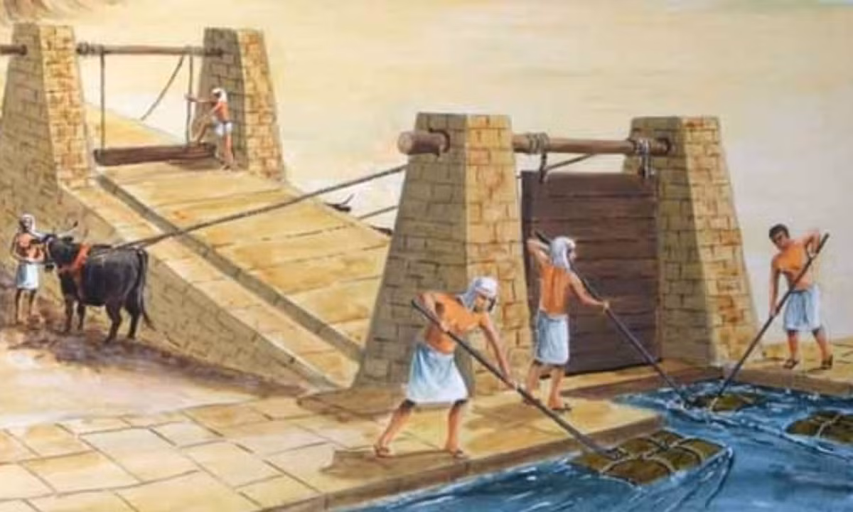 Sau khi phân tích sâu hơn về các mảnh xương, các nhà khoa học đã phát hiện ra cách một số trường hợp bị gãy xương và sau đó được chữa lành. Các nhà nghiên cứu so sánh xương được chữa lành của công nhân với xương tương tự được chữa lành của những nhà quý tộc và thấy rằng nạn nhân nhận được sự chăm sóc y tế như nhau. (Nguồn: YAN)