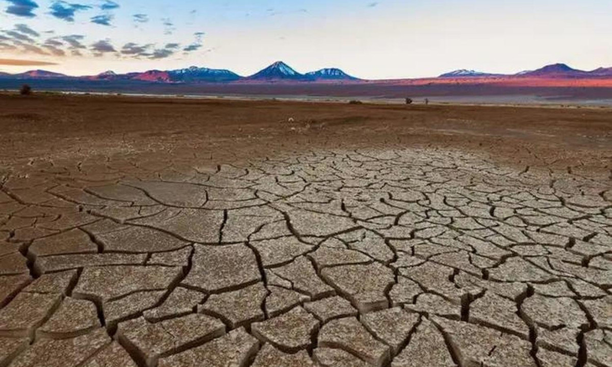 Thậm chí, trên sa mạc Atacama khắc nghiệt đến những cây xương rồng cũng không thể mọc lên được.