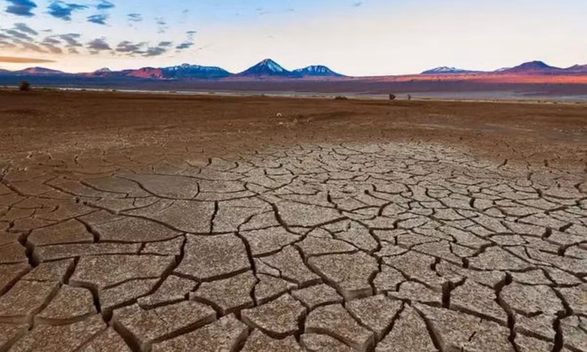 Thậm chí, trên sa mạc Atacama khắc nghiệt đến những cây xương rồng cũng không thể mọc lên được.