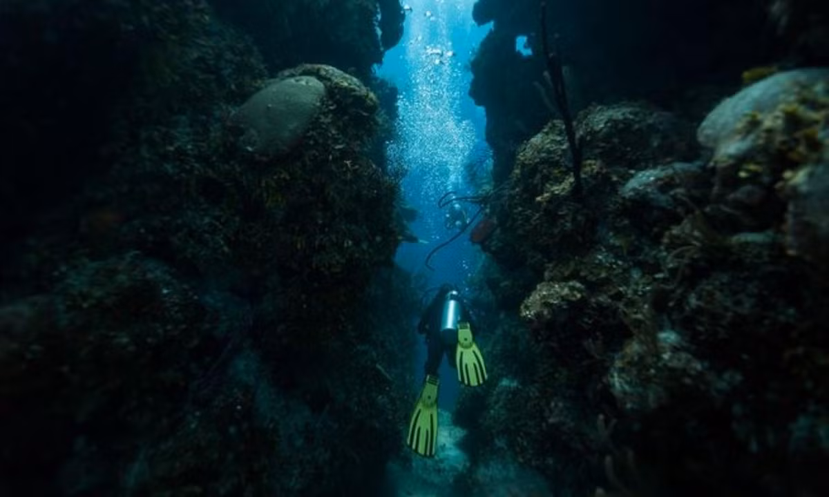 Hố Xanh vĩ đại được tạo ra từ những hoạt động địa chất từ kỷ Băng hà và vẫn tồn tại đến tận bây giờ. Nơi này được cho là địa điểm lặn đẹp nhất thế giới. Ảnh: scubadiving.com.