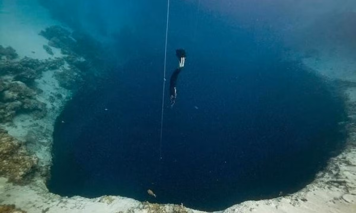7. Hố Dean's blue ở Bahamas: nằm ở Bahamas và được cho là chiếc hố sâu nhất hành tinh, hố Dean's blue hiện đang được coi là một trong những địa điểm lặn tuyệt nhất thế giới. Ảnh: Internet.
