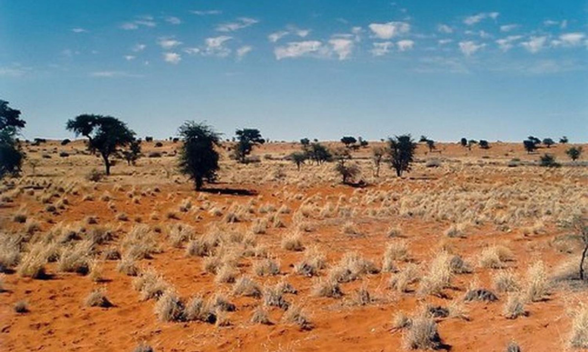 5. Sa mạc Kalahari: có diện tích 930.000 km2, phần lớn diện tích được bao phủ bởi cát nâu đỏ. Sa mạc Kalahari có lượng mưa thấp hơn 500 mm và cũng có nơi chỉ 200 mm/năm. (Nguồn: internet)